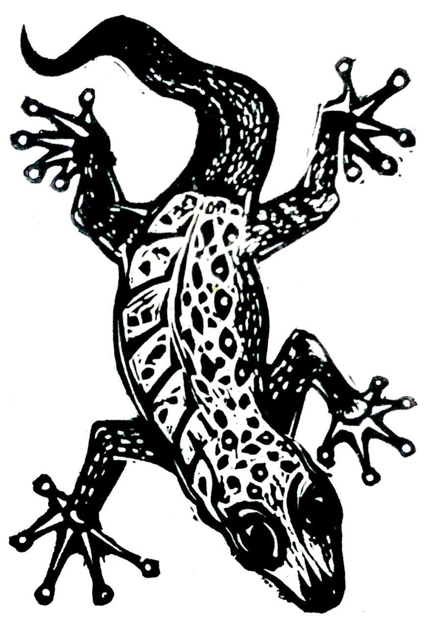Gecko Guest House Cooktown Extérieur photo